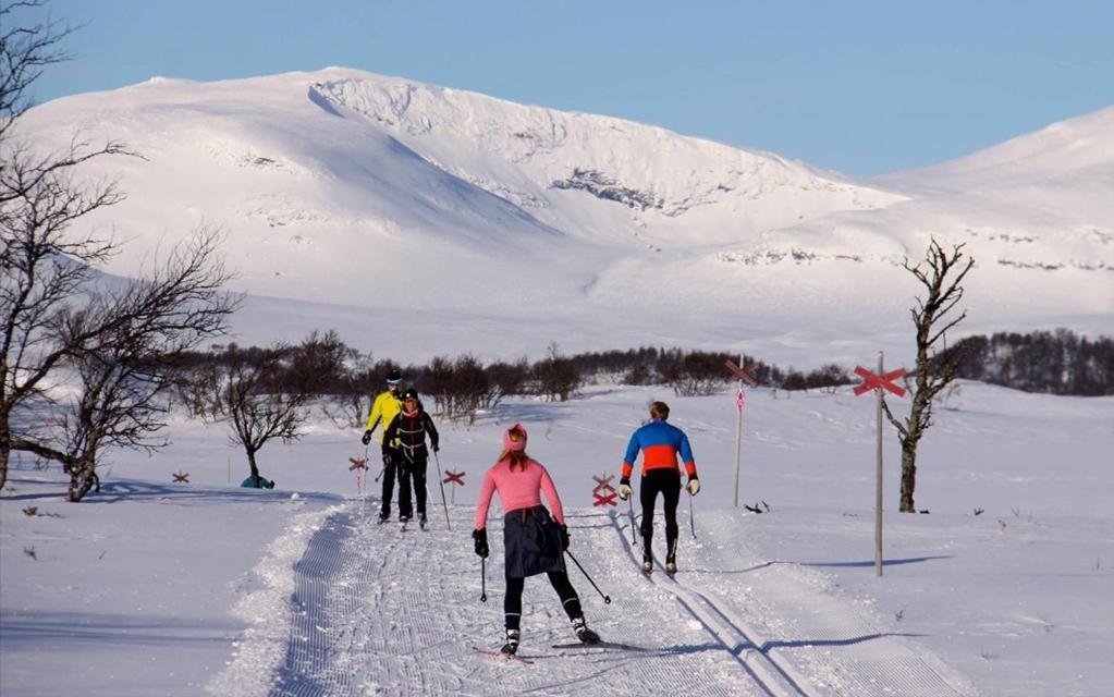 Ramundbergets Fjallgard Bruksvallarna Экстерьер фото